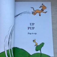 Dr. Seuss  - Hop on Pop